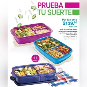 Tupperware ECO+ Lunch It Large Container